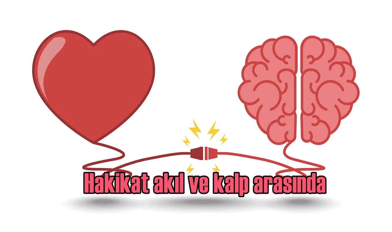 Hakikat akıl ve kalp arasında