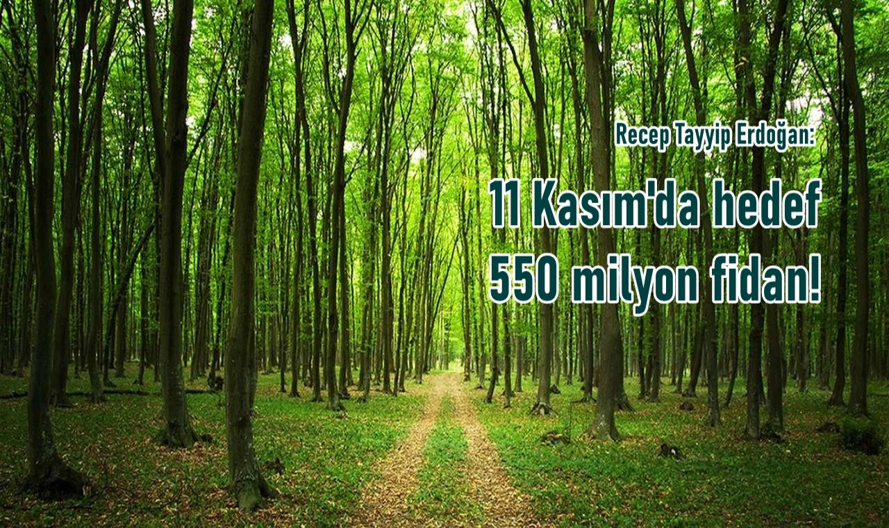 Hedef 550 milyon fidan