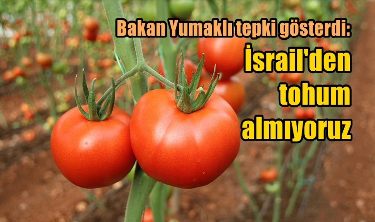 İsrail'den tohum almıyoruz