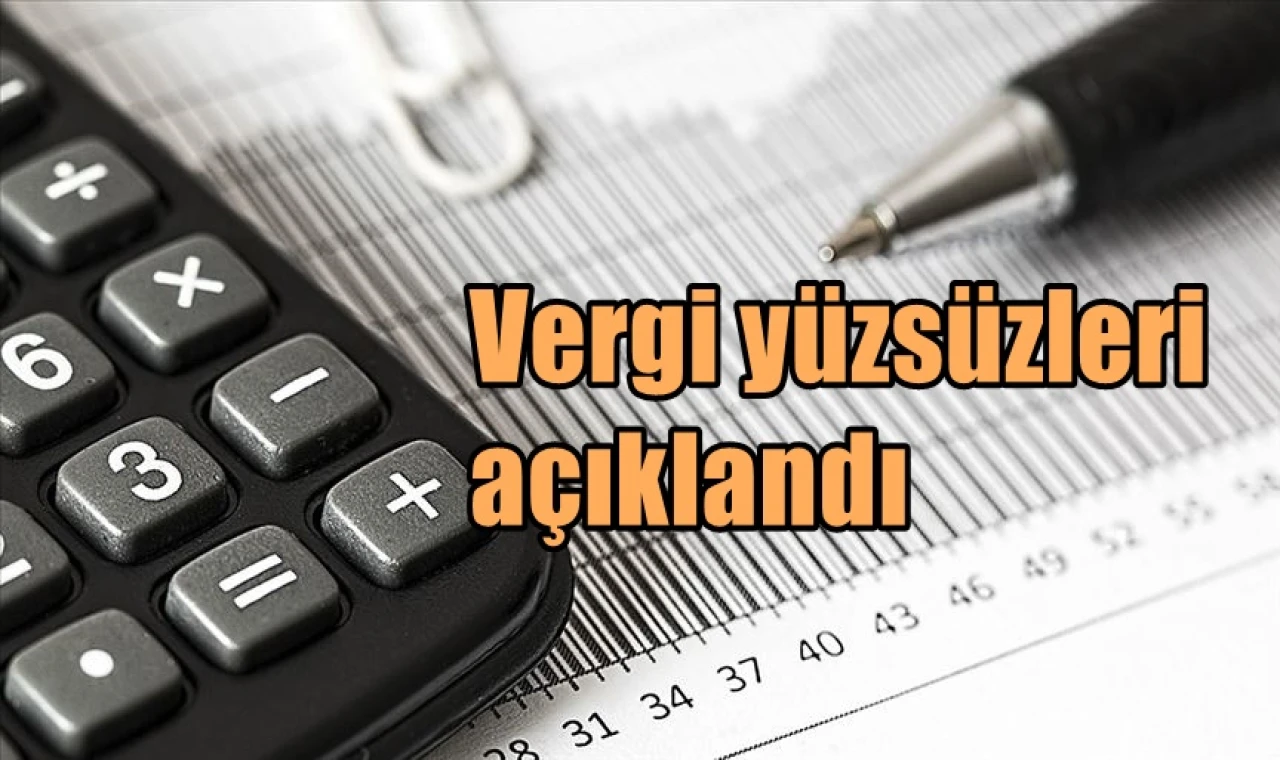 Vergi yüzsüzleri açıklandı