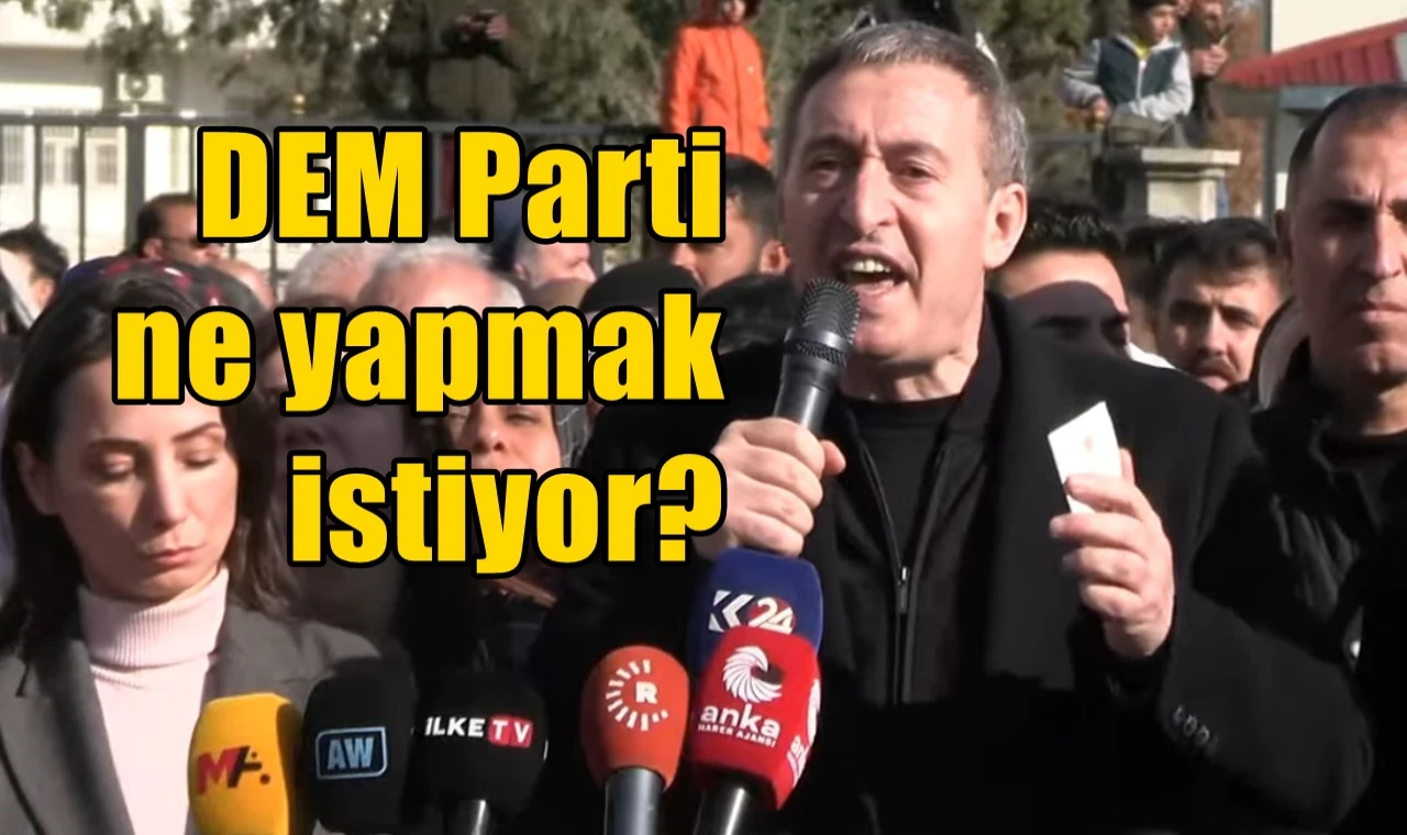 DEM Parti ne yapmak istiyor?