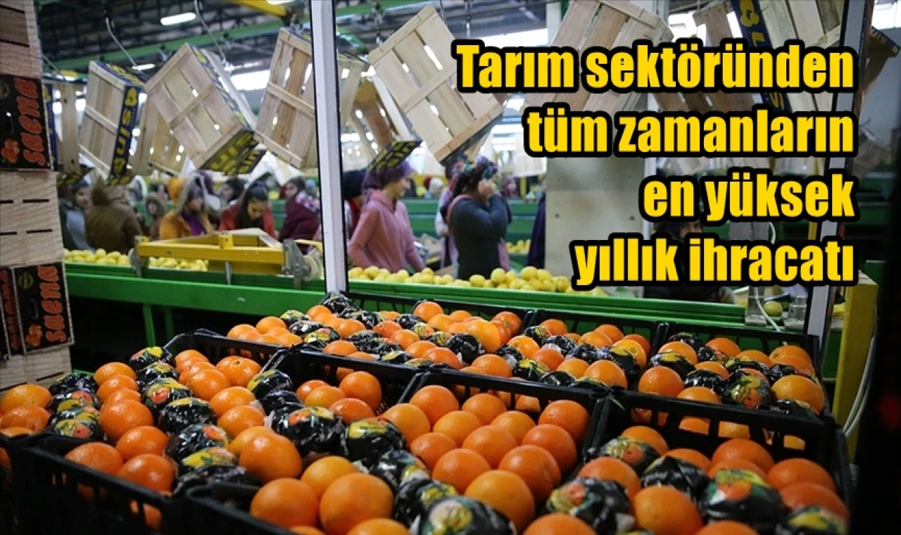 Tarım sektöründen tüm zamanların en yüksek yıllık ihracatı