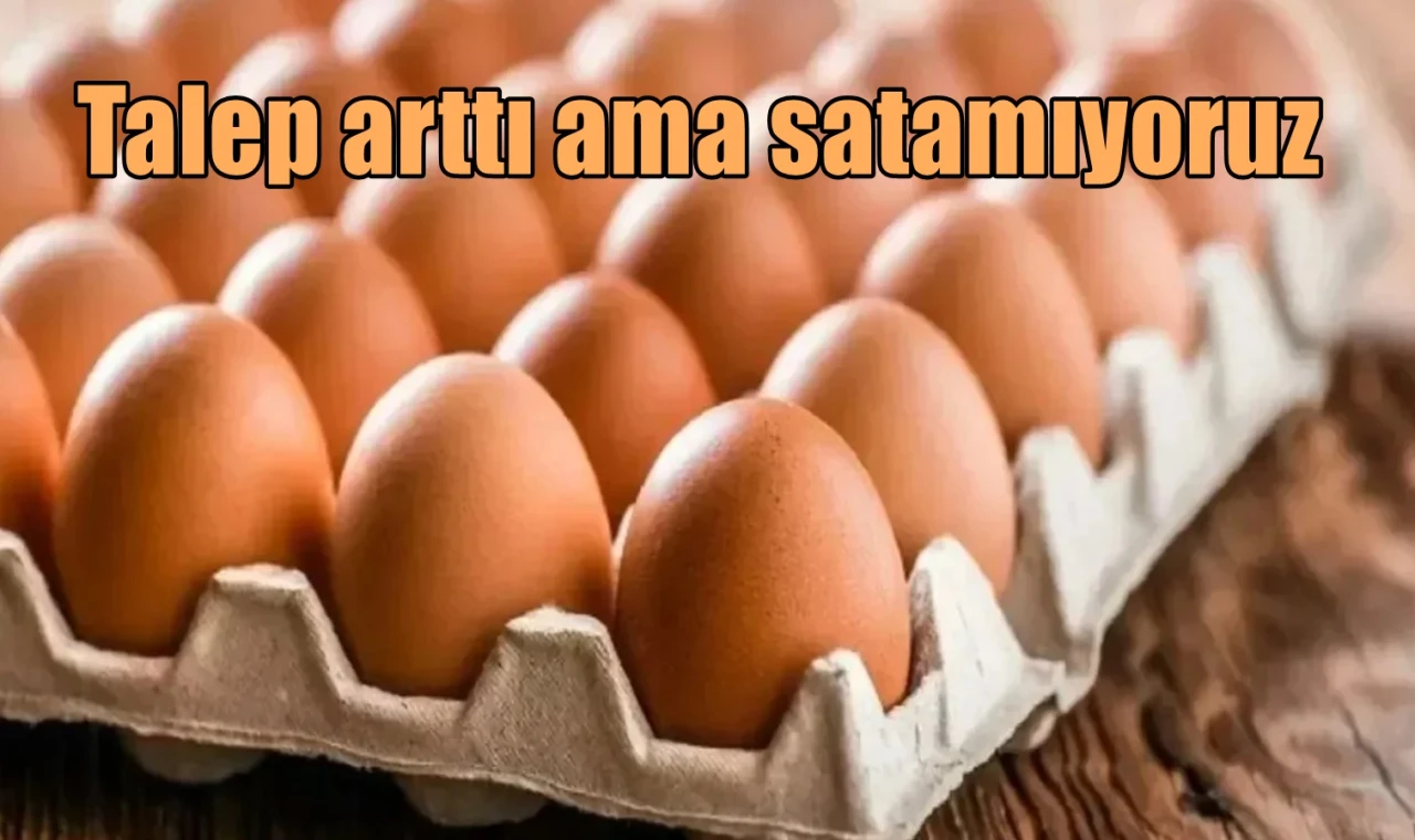Talep arttı ama satamıyoruz