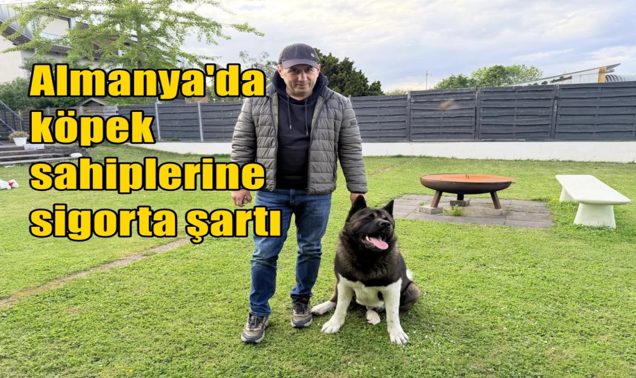 Almanya'da köpek sahiplerine sigorta şartı