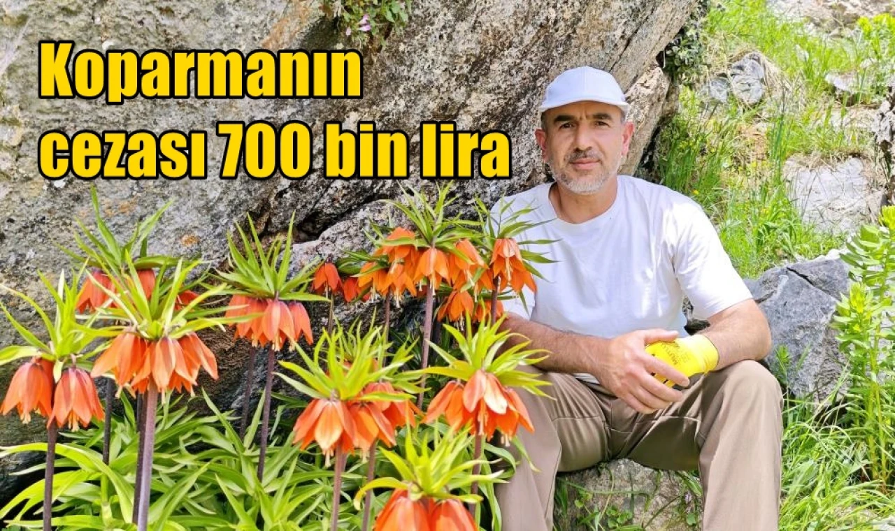 Koparmanın cezası 700 bin lira