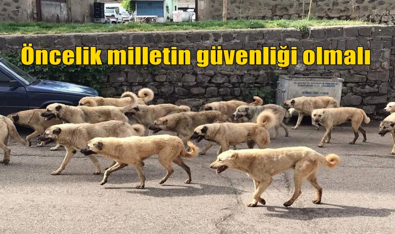 Öncelik milletin güvenliği olmalı