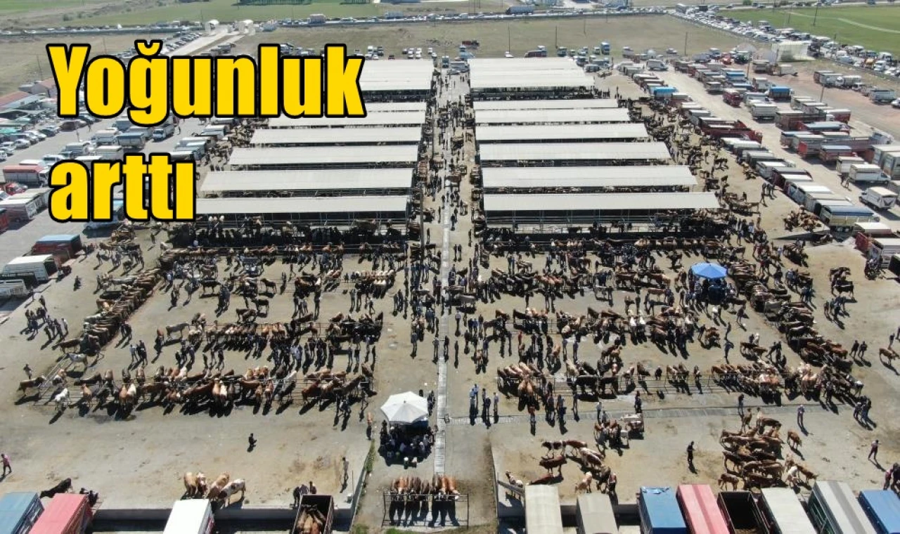 Yoğunluk arttı