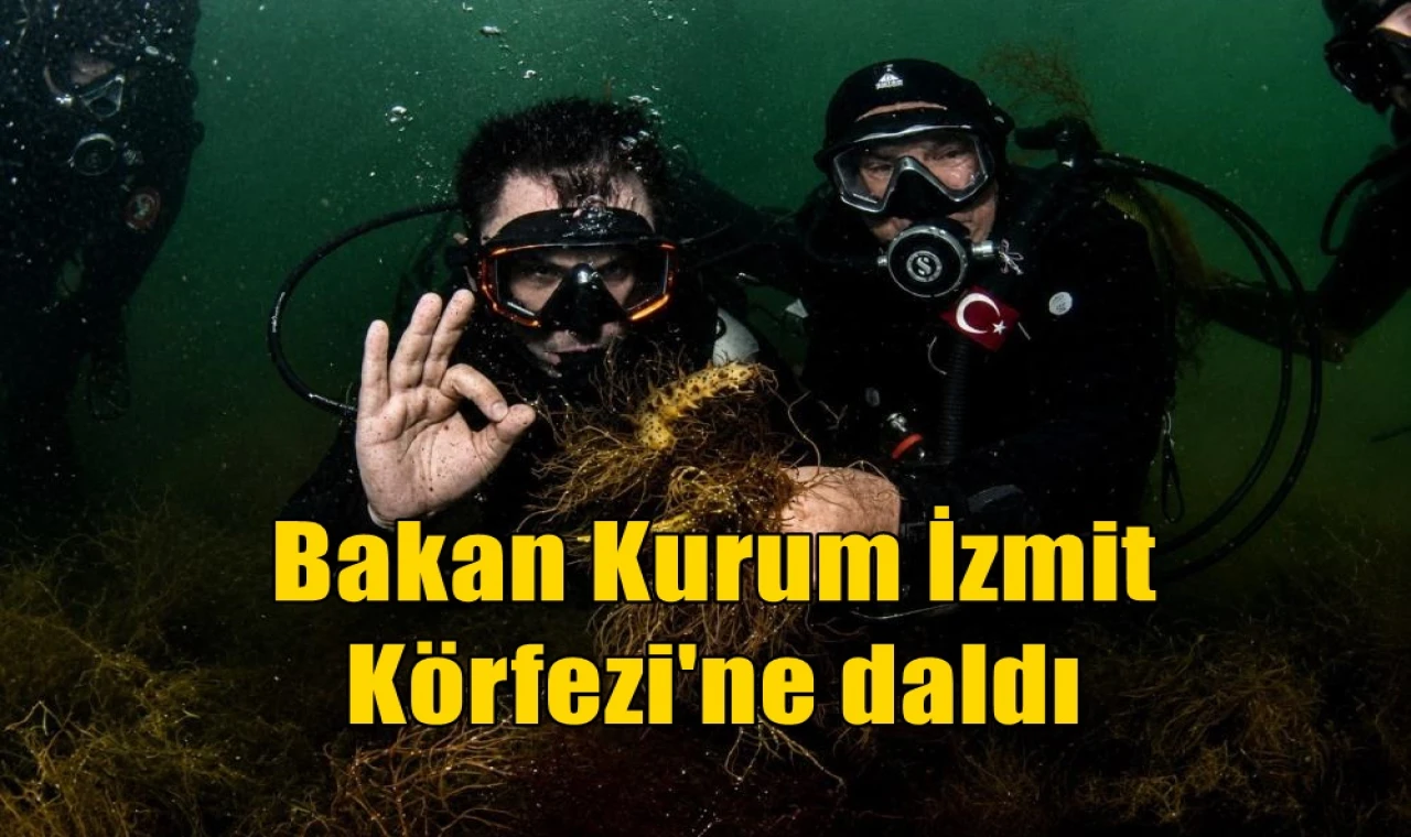 Bakan Kurum İzmit Körfez'ine daldı
