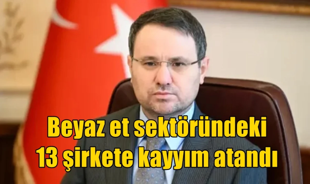 Beyaz et sektöründeki  13 şirkete kayyım atandı