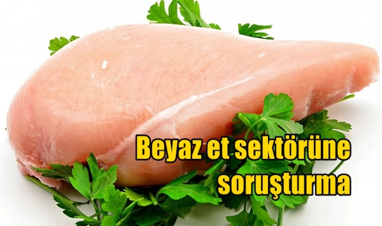 Beyaz et sektörüne soruşturma