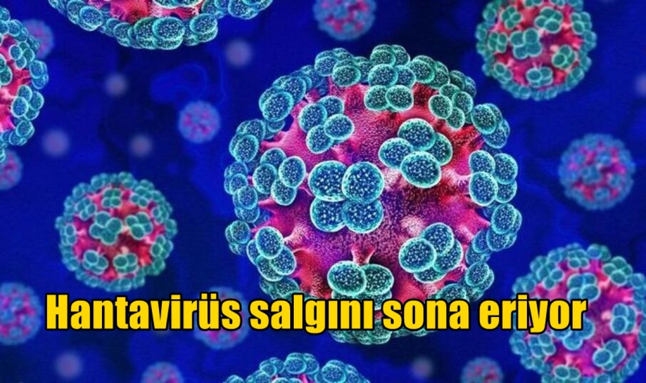 Hantavirüs salgını sona eriyor