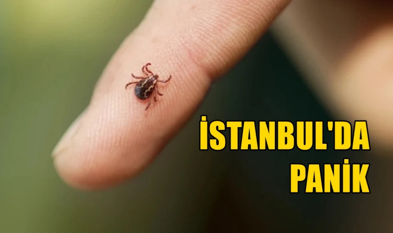 İstanbul'da panik