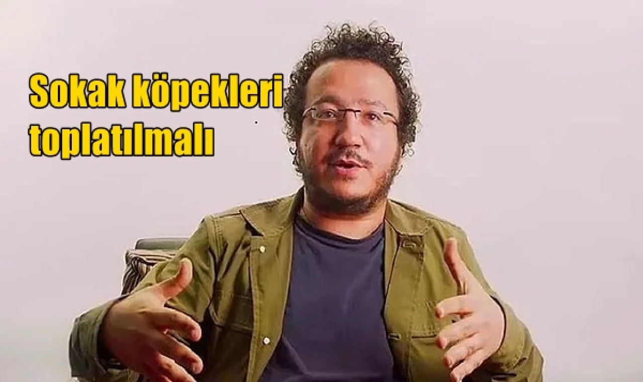 Sokak köpekleri toplatılmalı