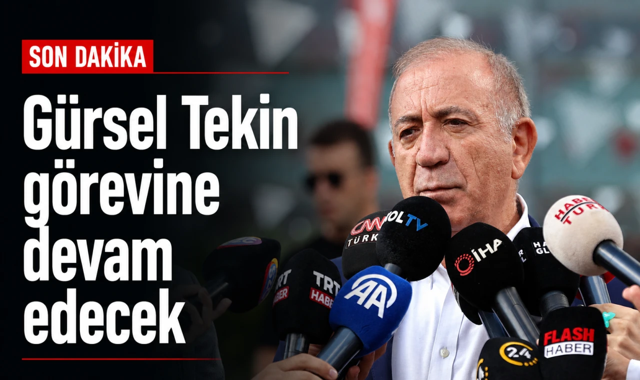 Gürsel Tekin görevine devam edecek