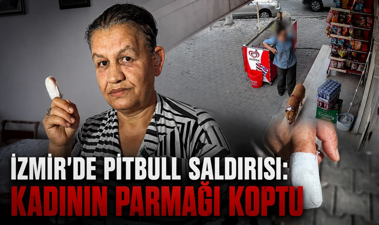 İzmir'de pitbull saldırısı: Kadın’ın parmağı koptu