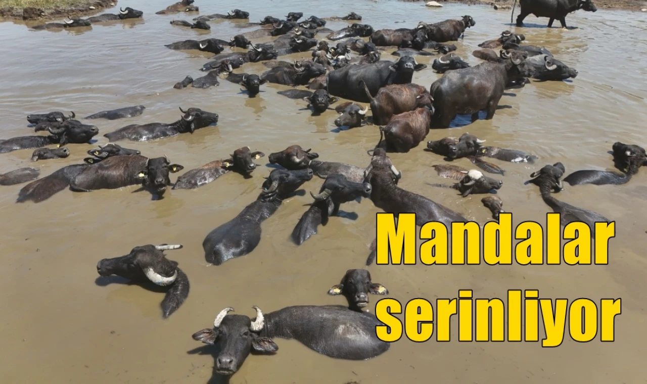 Mandalar serinliyor