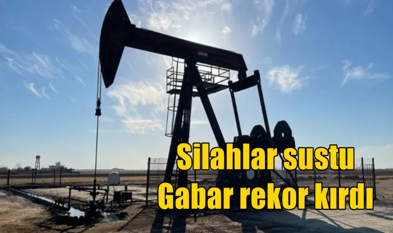 Silahlar sustu Gabar rekor kırdı