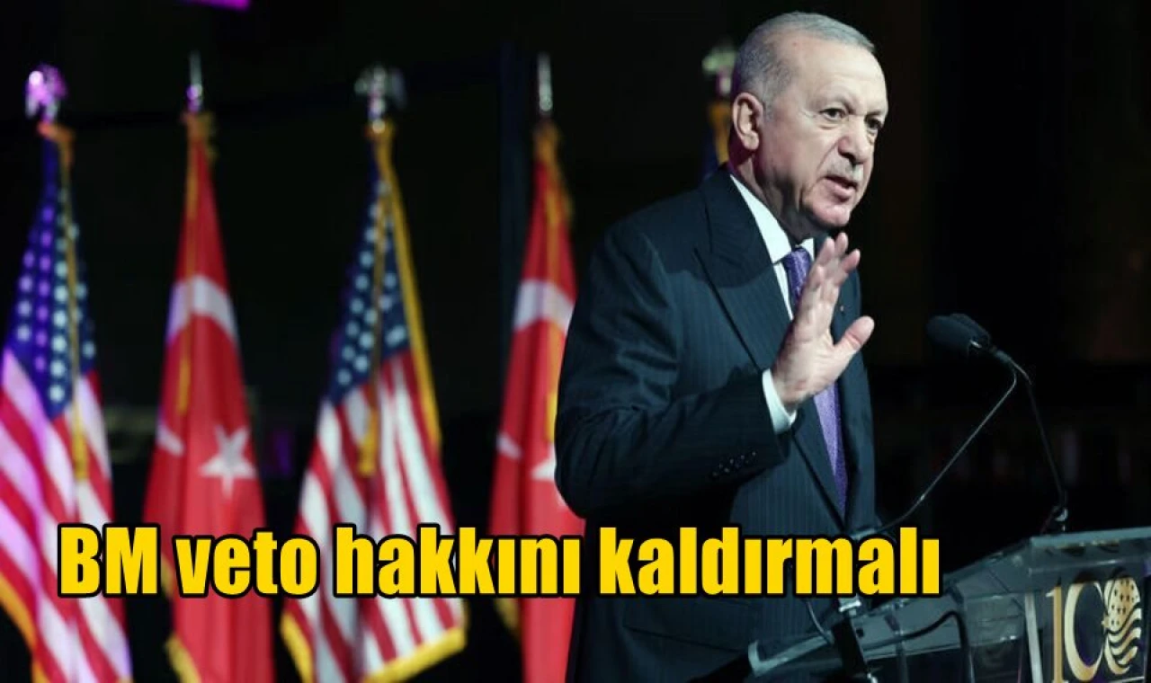 BM veto hakkını kaldırmalı