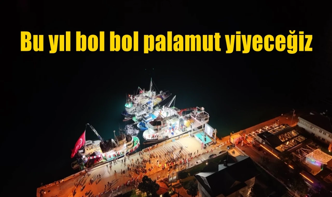 Bu yıl bol bol palamut yiyeceğiz