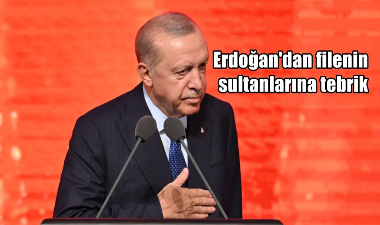 Erdoğan'dan filenin sultanlarına tebrik