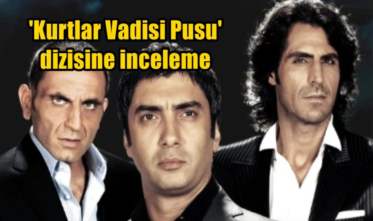 'Kurtlar Vadisi Pusu' dizisine inceleme