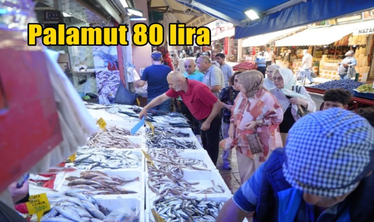 Palamut 80 lira