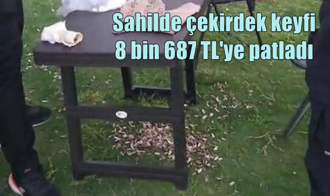 Sahilde çekirdek keyfi 8 bin 687 TL'ye patladı