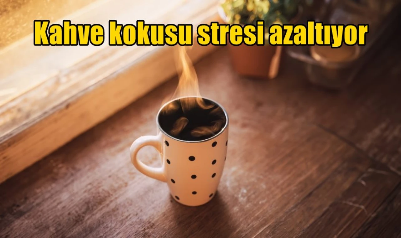 Kahve kokusu stresi azaltıyor