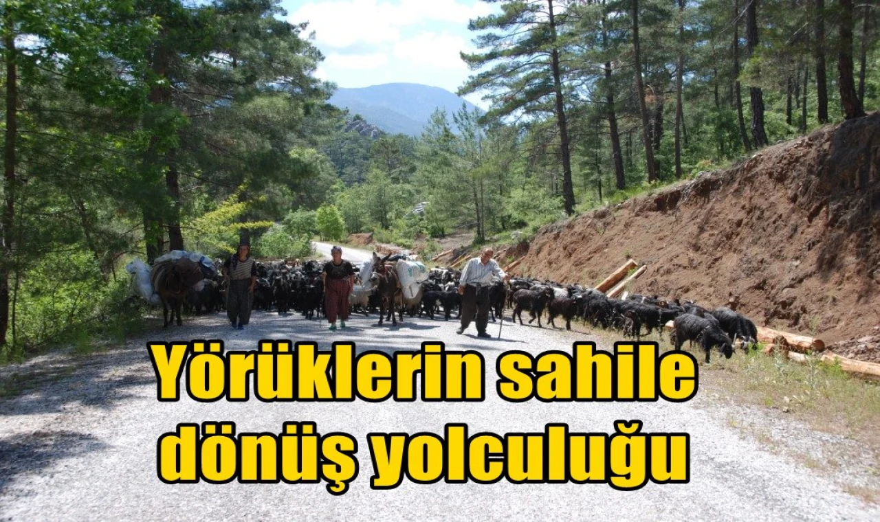 Yörüklerin sahile dönüş yolculuğu