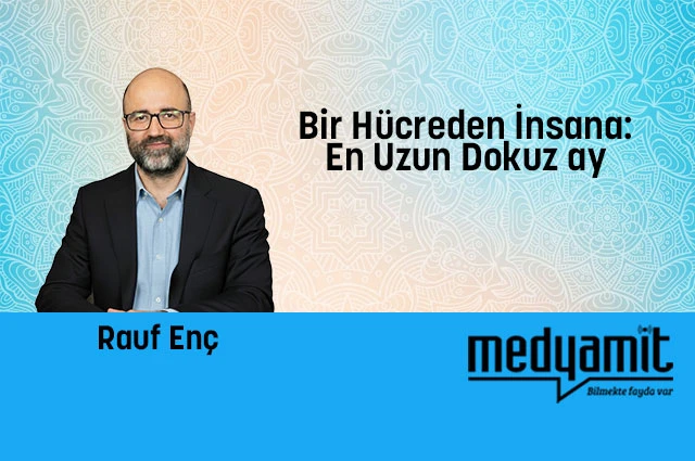 Bir Hücreden İnsana: En Uzun Dokuz ay