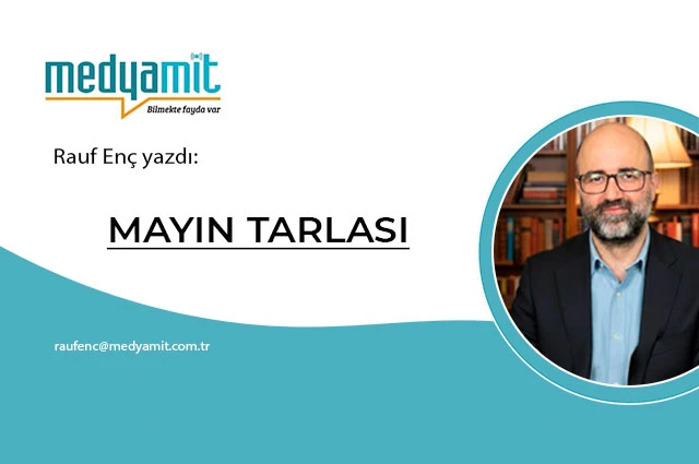 MAYIN TARLASI