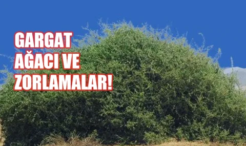 Gargat Ağacı ve Tanrıyı Kıyamete Zorlayanlar