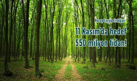 Hedef 550 milyon fidan