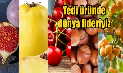 Türkiye 7 üründe dünya lideri