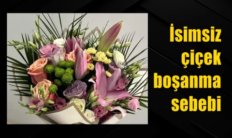 İsimsiz çiçek boşanma sebebi