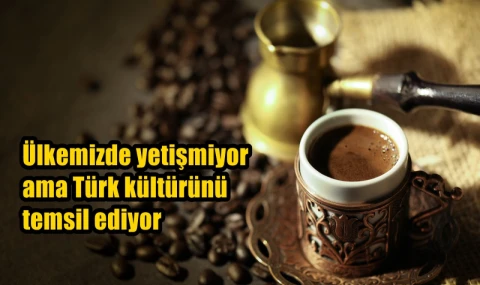 Ülkemizde yetişmiyor ama Türk kültürünü temsil ediyor