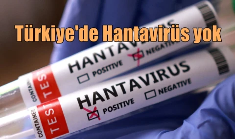 Türkiye'de Hantavirüs yok