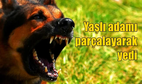 Yaşlı adama saldırıp öldürdü