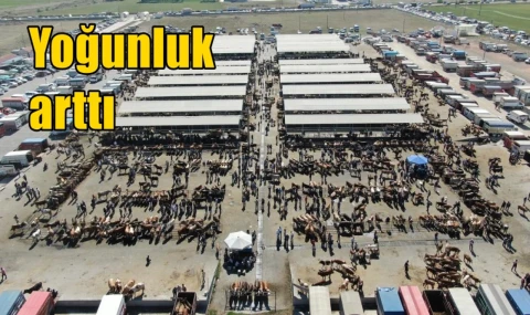 Yoğunluk arttı