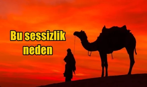 Bu sessizlik neden