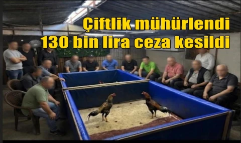Çiftlik mühürlendi 130 bin lira ceza kesildi