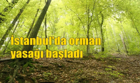 İstanbul'da orman yasağı başladı