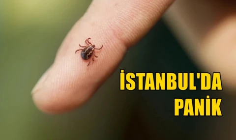 İstanbul'da panik