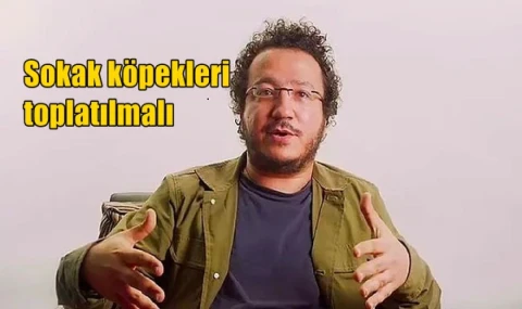 Sokak köpekleri toplatılmalı