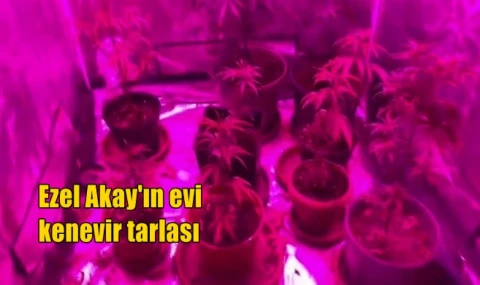 Ezel Akay'ın evi kenevir tarlası