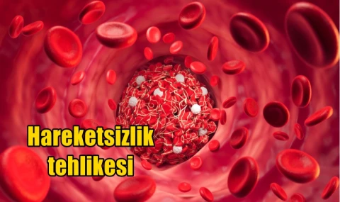 Hareketsizlik tehlikesi