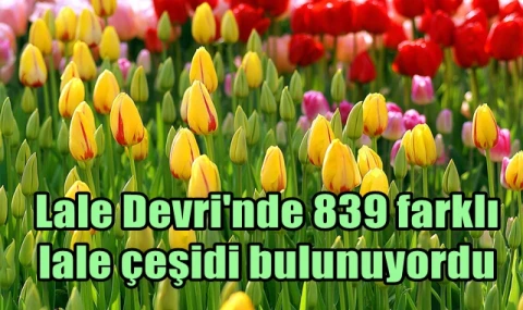 Lale Devri'nde 839 farklı lale çeşidi bulunuyordu