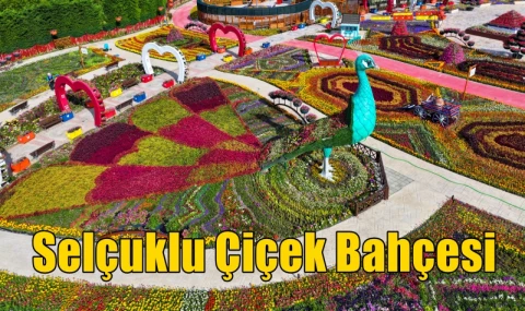 Selçuklu Çiçek Bahçesi