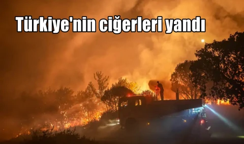 Türkiye'nin ciğerleri yandı