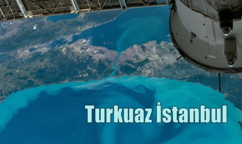 Turkuaz İstanbul